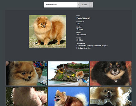 dog website